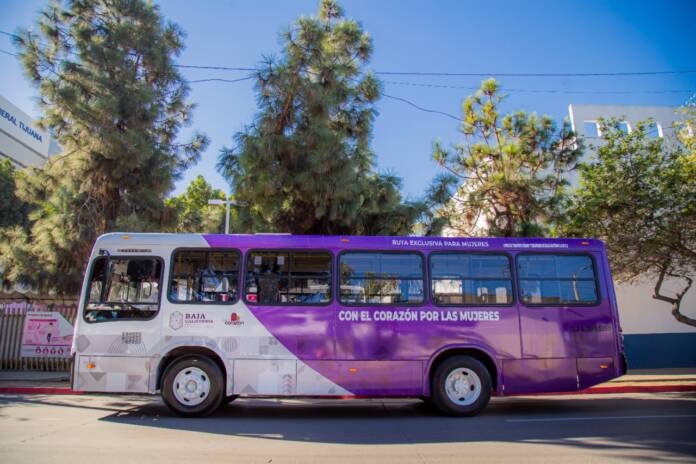 transporte violeta para mujeres