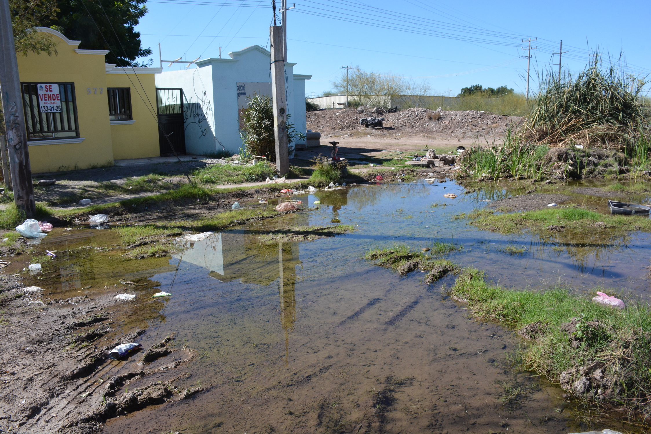 Construyen millonaria escuela de beisbol en un municipio sumido en aguas residuales 18 imagen4