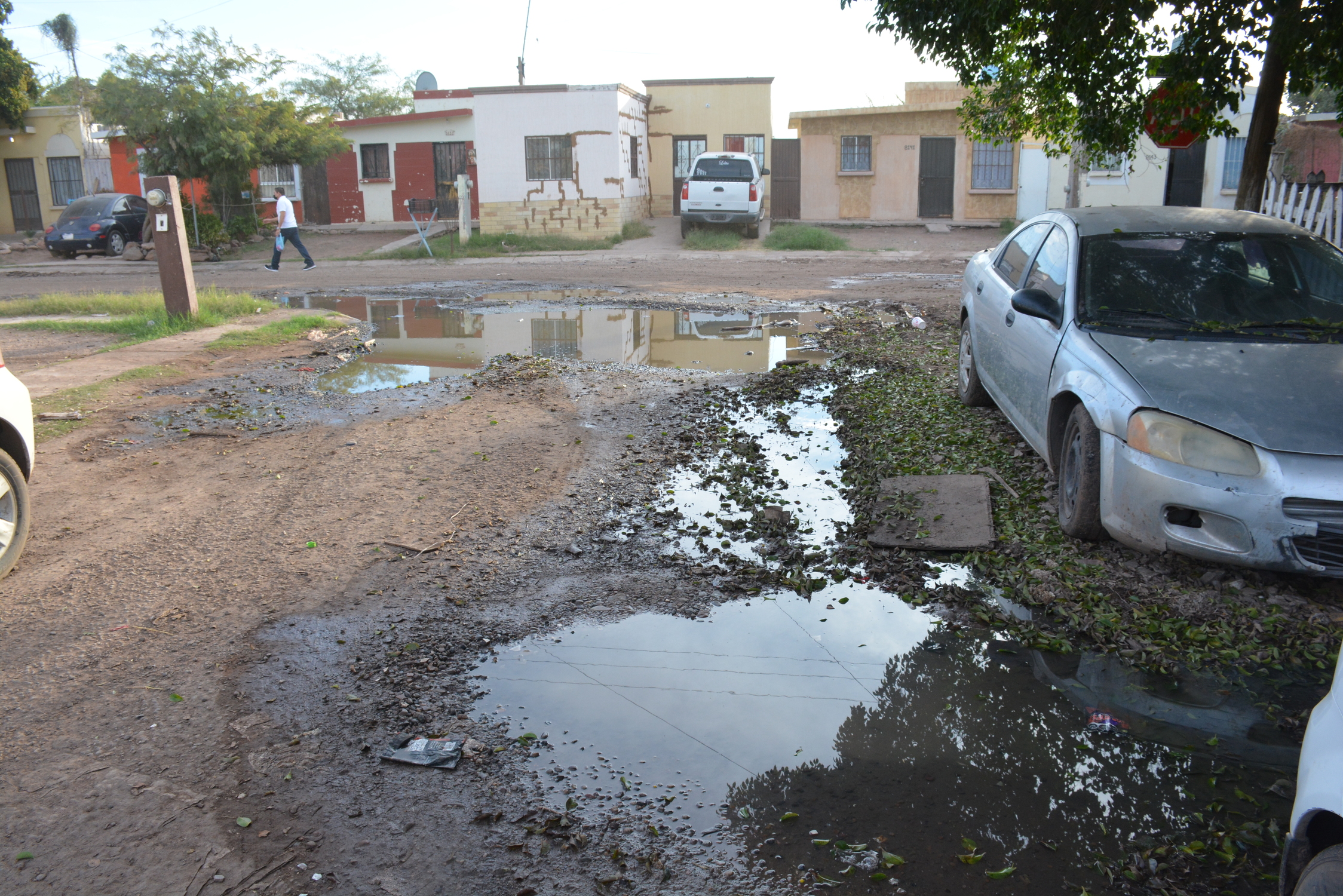 Construyen millonaria escuela de beisbol en un municipio sumido en aguas residuales 19 imagen5