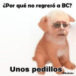 unos pedillos