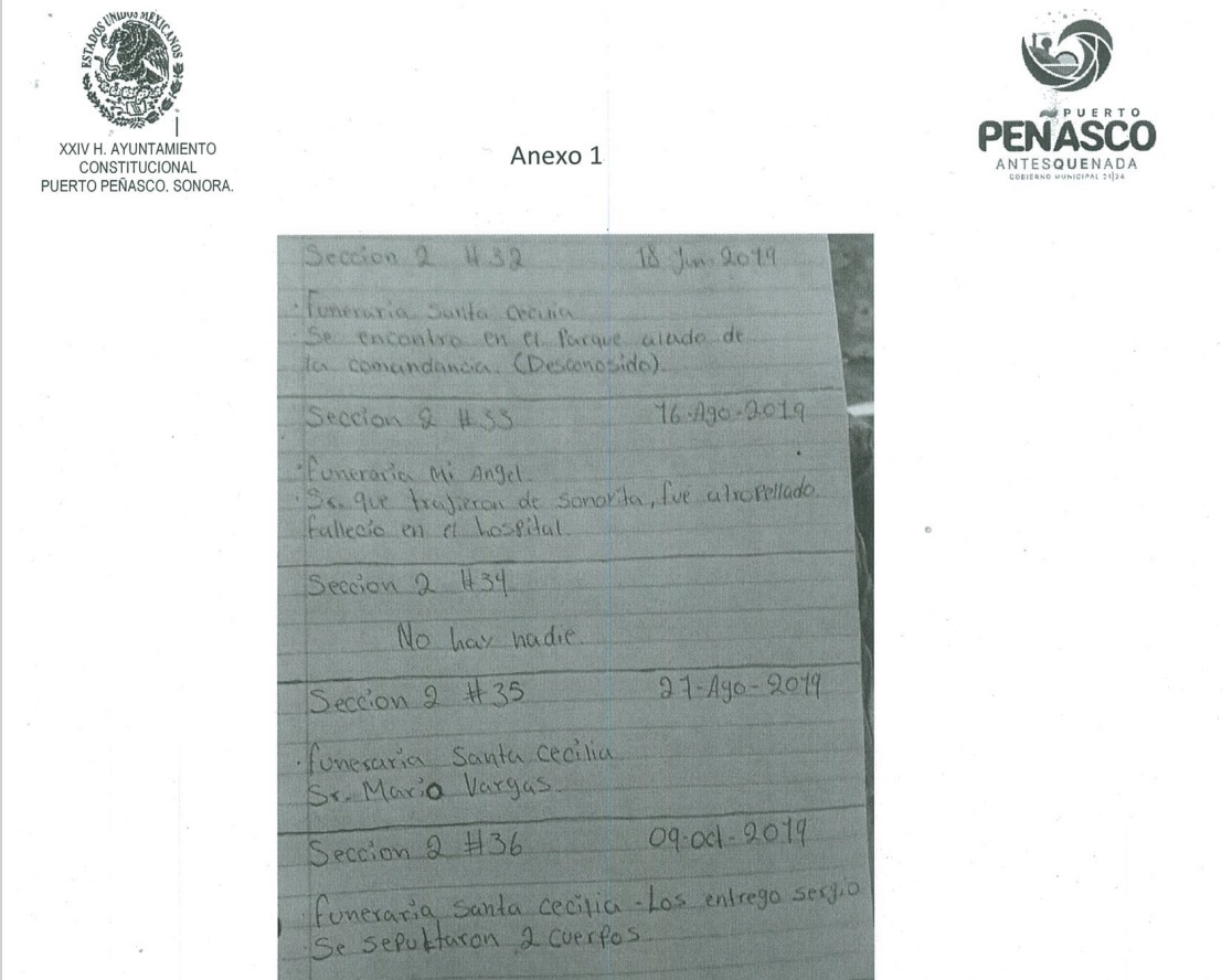 IMAGEN 15