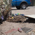 Viven entre la basura en Valle del Pedregal 6 3