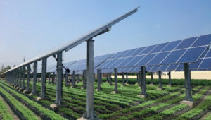 planta solar en Holtville