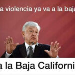 amlo