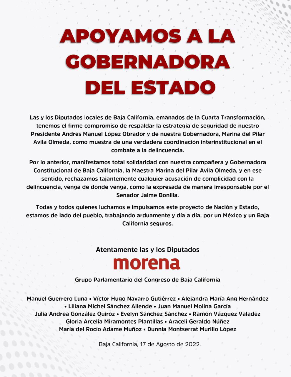 diputados locales