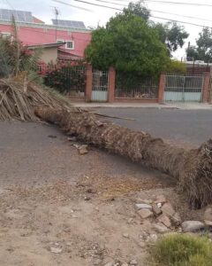 fuertes vientos 