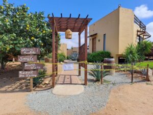 negocios en el Valle de Guadalupe