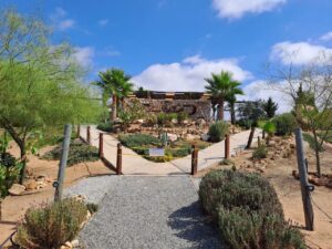 negocios en el Valle de Guadalupe