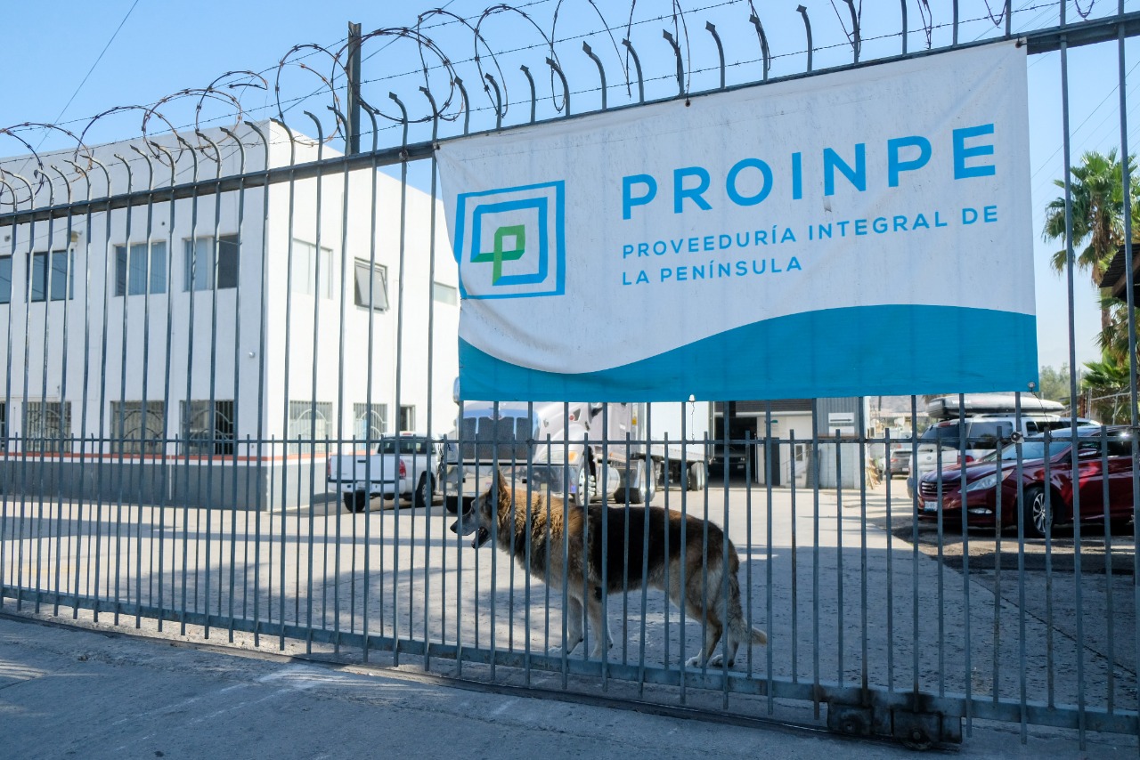FOTO 11