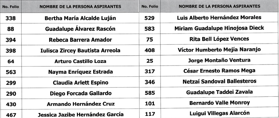 Presidente del IEEBC entre los finalistas para llegar al INE 3 aspirantes ine