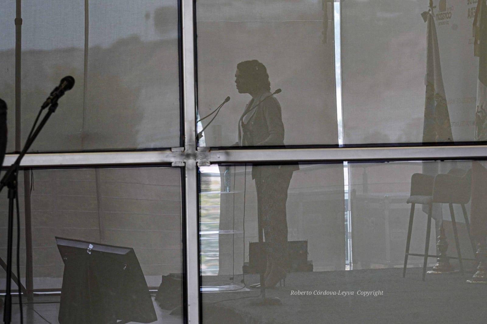 El Radiador: La opacidad de la DSPM 1 Gobernadora Gris. FOTO: Roberto Córdova-Leyva.