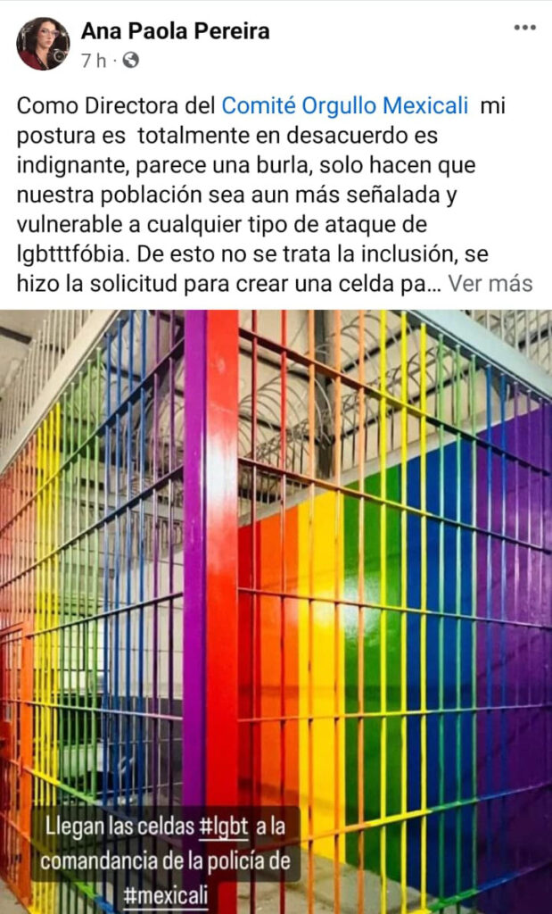 celdas de colores