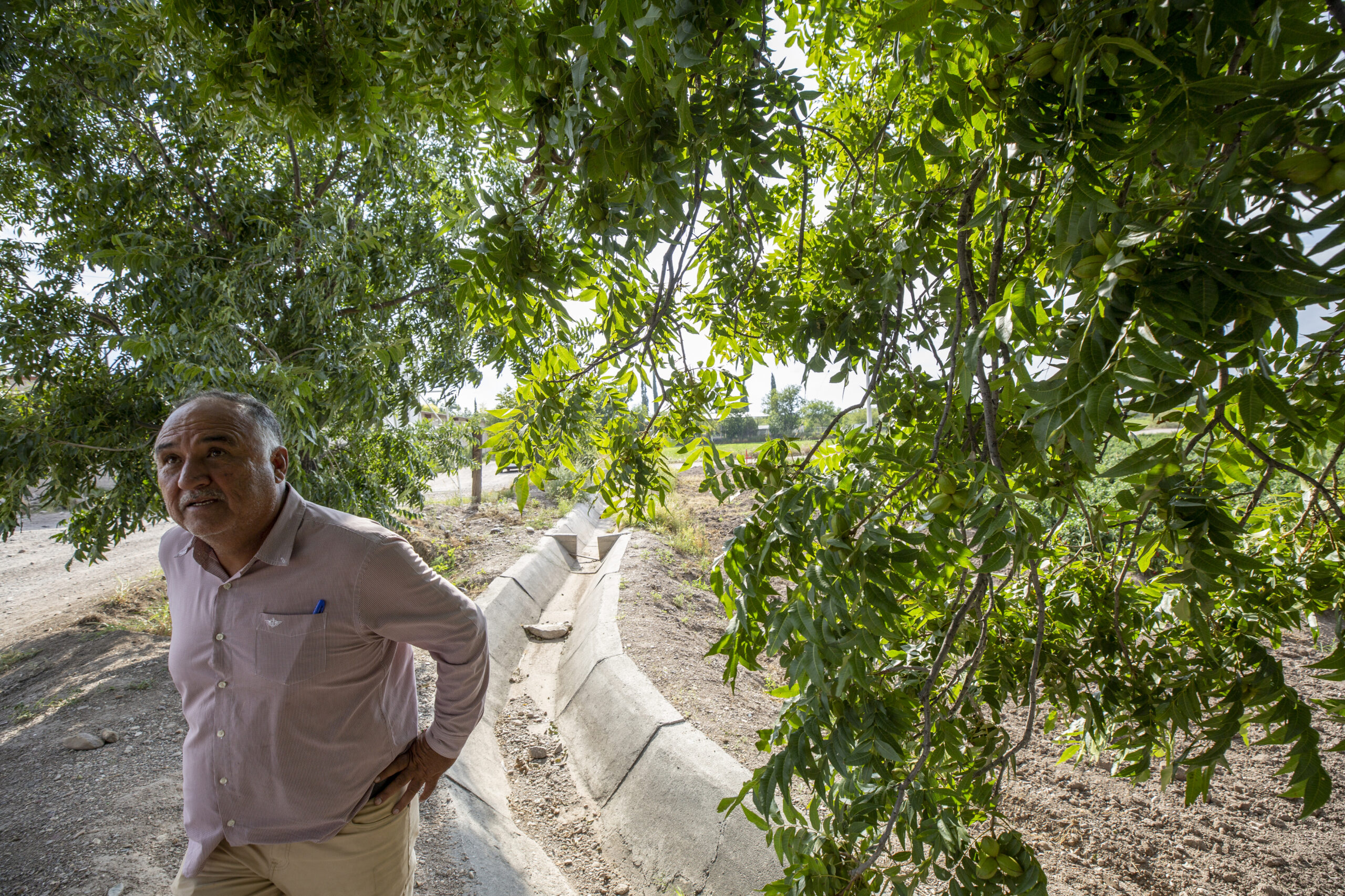 “Es nuestra presa”: La tensión crece en el río Bravo mientras México se atrasa con la entrega de agua 1 Jaime Ramírez Carrasco, presidente municipal de San Francisco de Conchos, de pie bajo un nogal en agosto de 2023. A su lado, un canal de riego revestido de concreto transporta agua.