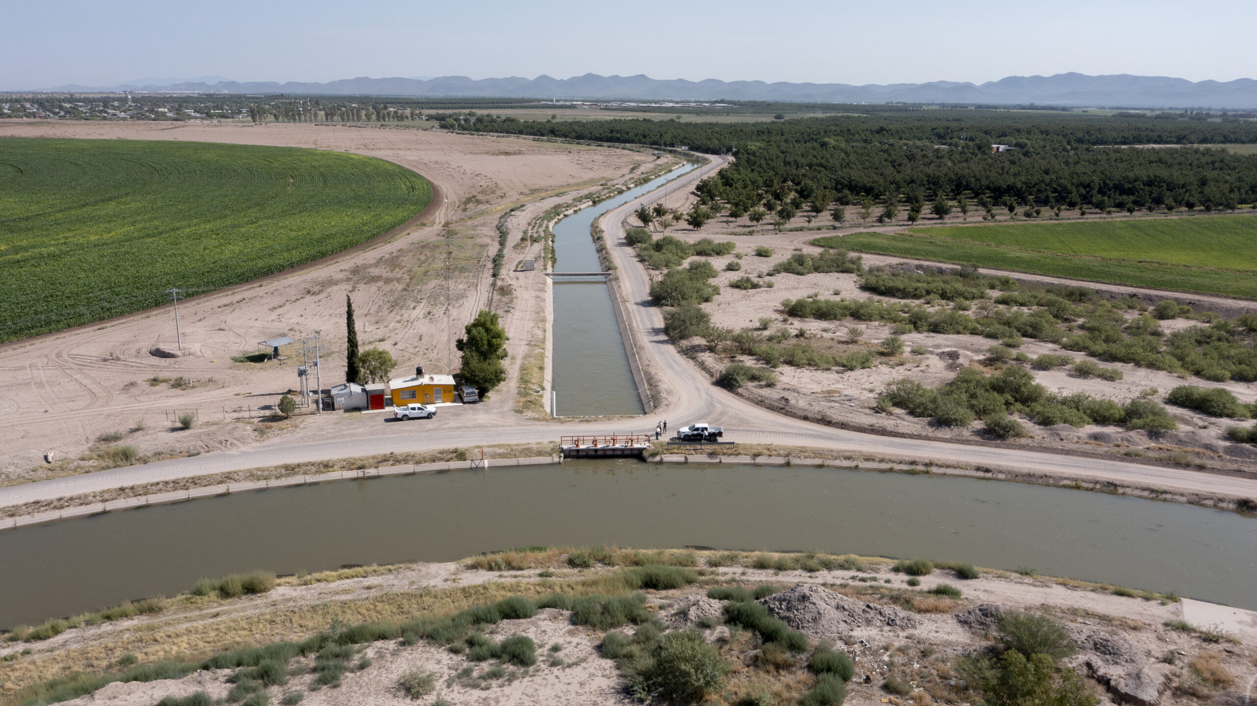 “Es nuestra presa”: La tensión crece en el río Bravo mientras México se atrasa con la entrega de agua 7 El canal de riego principal del distrito de Delicias, en primer plano, se conecta con un canal más pequeño. El agua del río Conchos alimenta la producción de alfalfa y nueces pecanas en agosto de 2023.