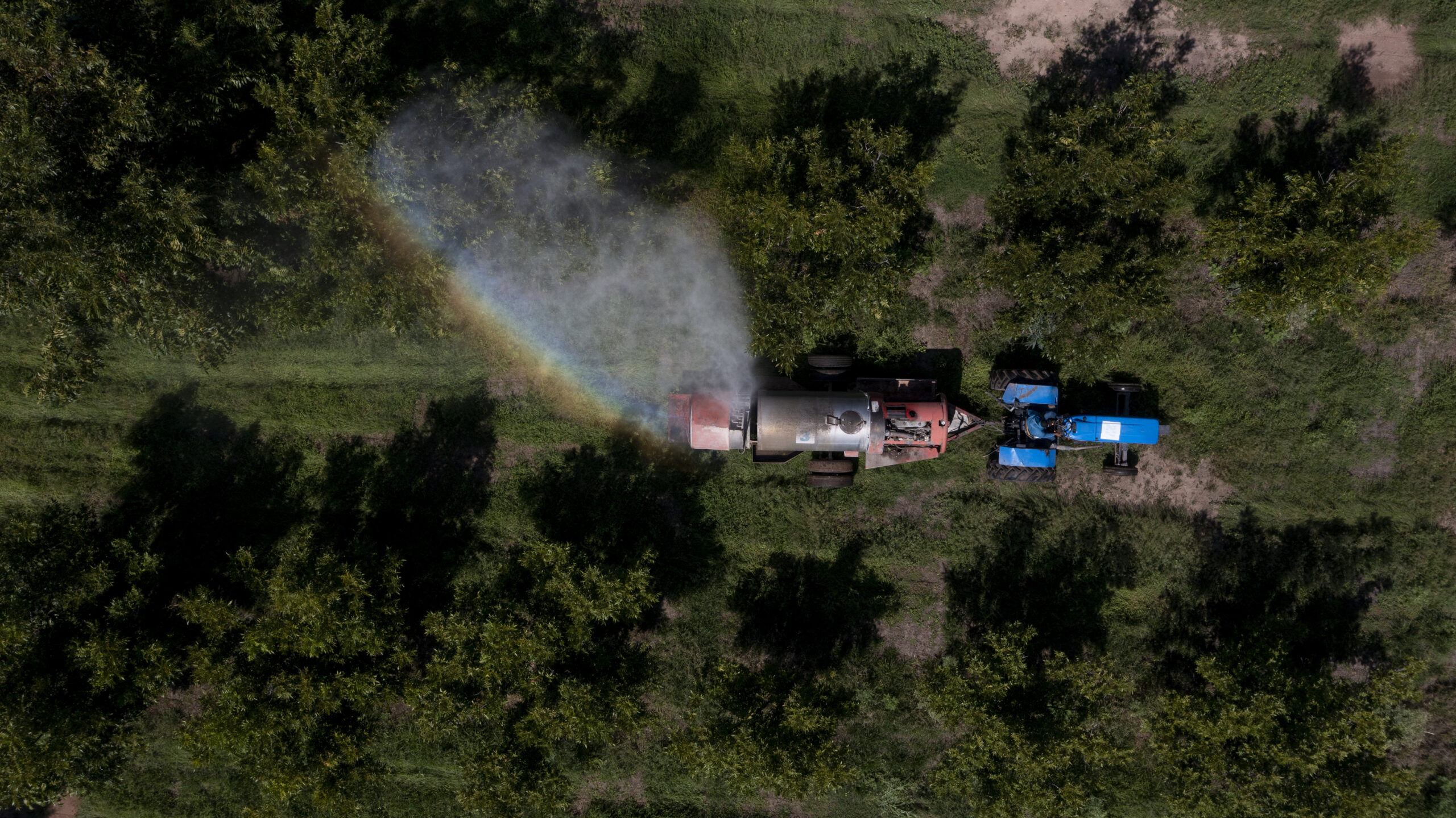 “Es nuestra presa”: La tensión crece en el río Bravo mientras México se atrasa con la entrega de agua 8 Un tractor fumiga una nogalera en Delicias, Chihuahua en agosto de 2023.