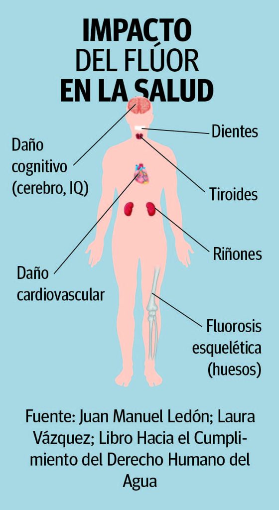 ilustracion fluor