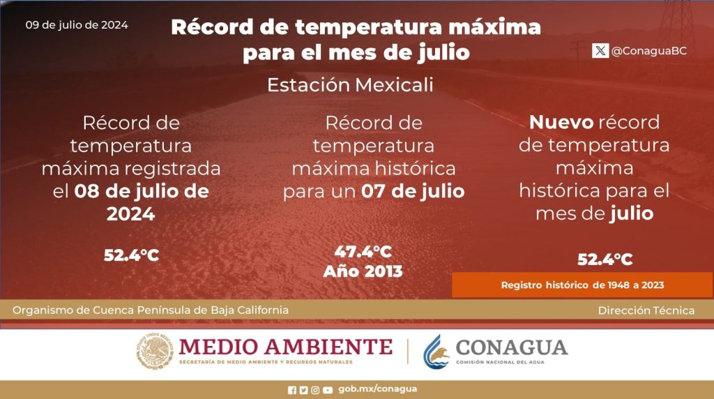 Mito: ¿Se puede cocinar un huevo en el pavimento? 1 WhatsApp Image 2024 07 09 at 11.43.55 AM