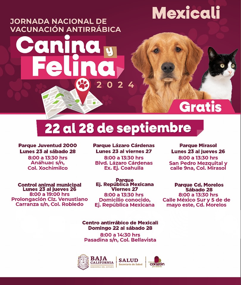 Vacunación antirrábica gratuita para mascotas 1 460821885 1077443483950495 4868871344695886700 n