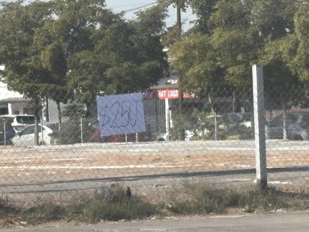 475739728 1066328008864750 1779664942773074121 n