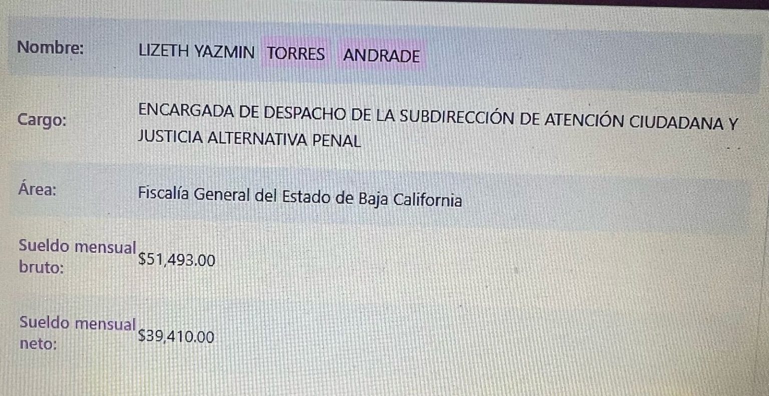 El Radiador Malos vecinos 4 WhatsApp Image 2025 04 07 at 3.58.08 PM