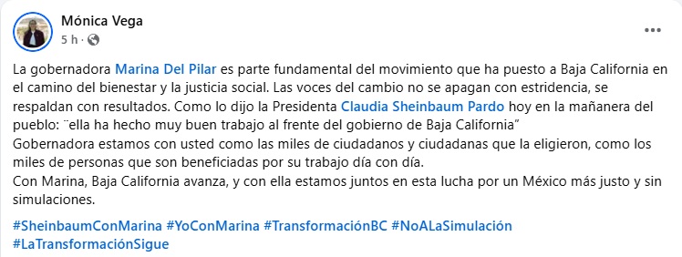 Funcionarios respaldan a Marina del Pilar con “copy paste” 4 monica
