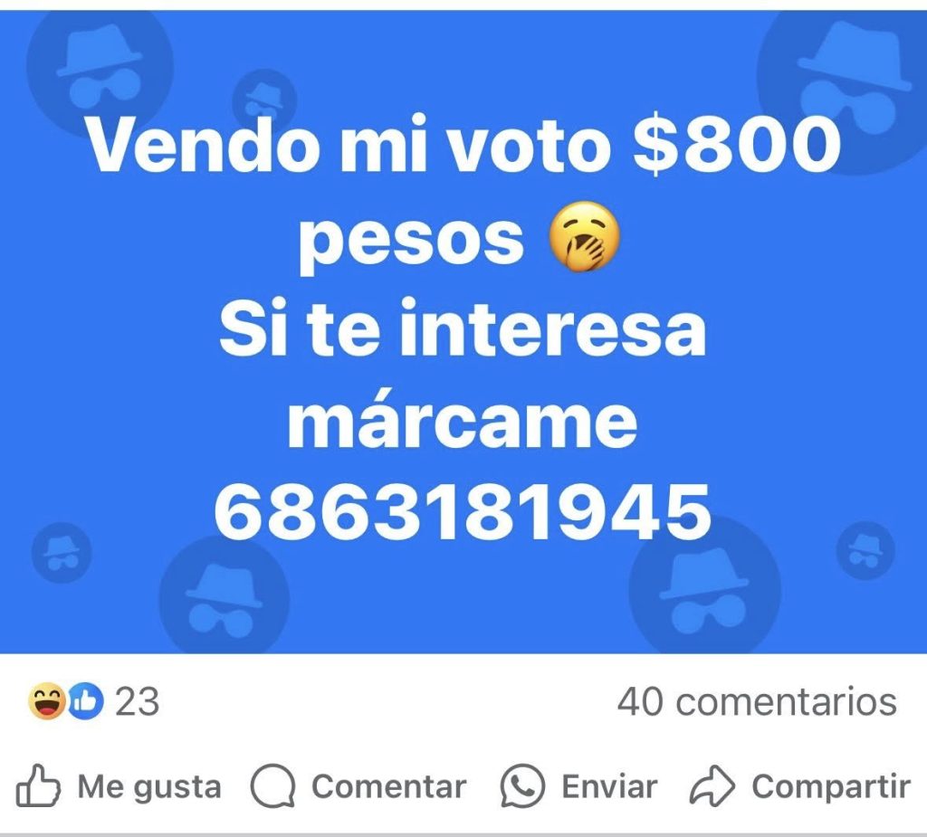 503165977 1161454626018754 5919649392649232095 n