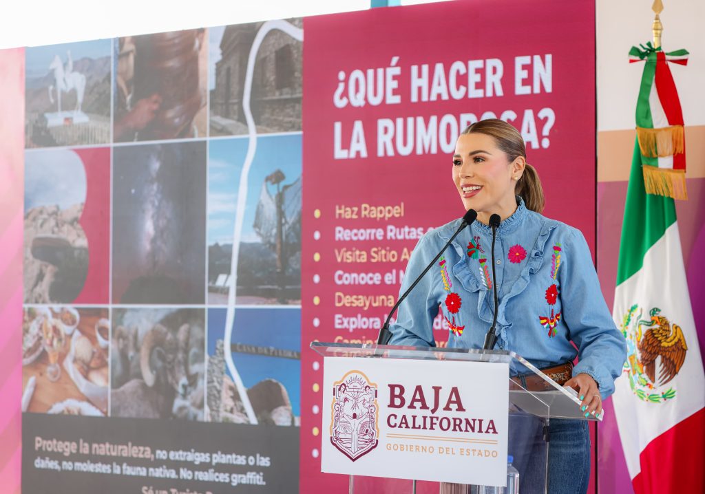 El Radiador: Atrápame si puedes 1 Atrápame si puedes