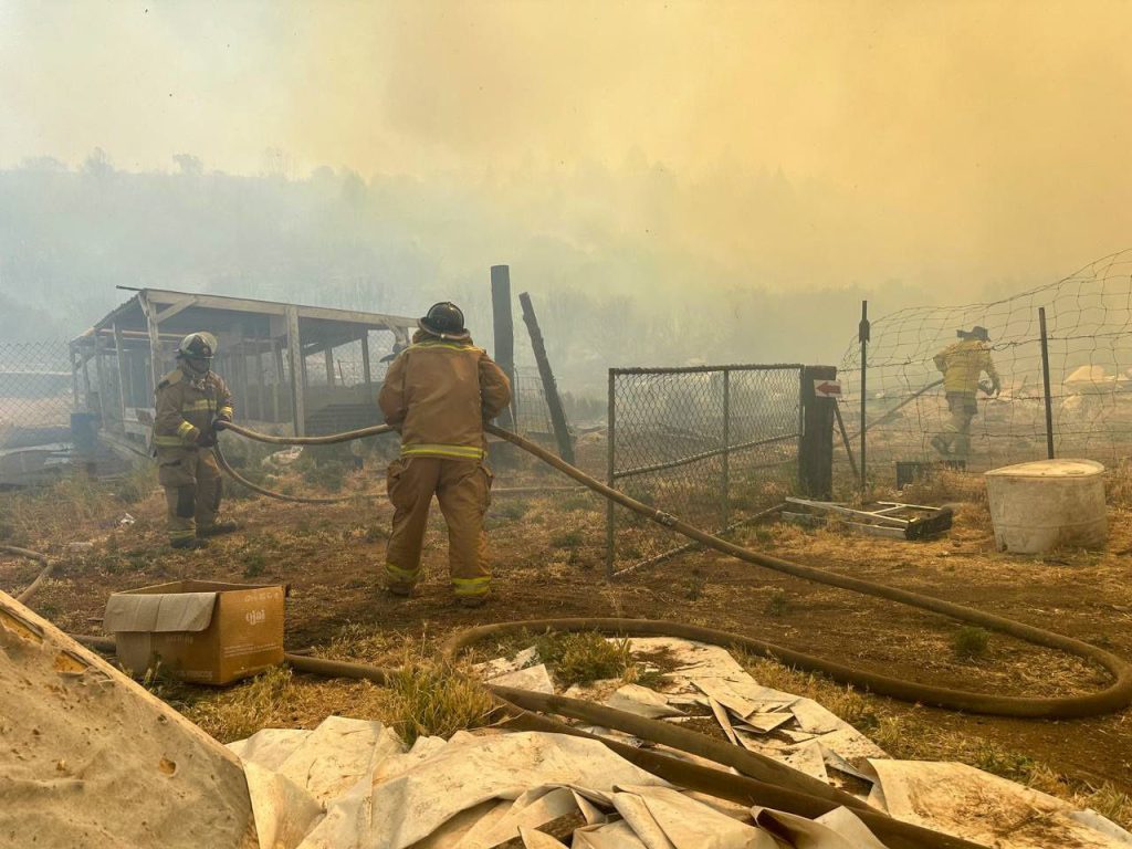 Más de 5 mil hectáreas afectadas tras incendios forestales en Tecate 1 WhatsApp Image 2025 06 22 at 9.41.26 AM