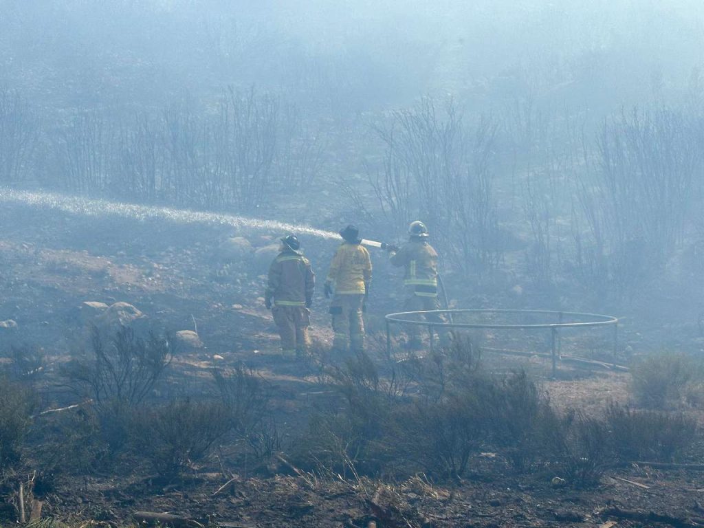 Más de 5 mil hectáreas afectadas tras incendios forestales en Tecate 2 WhatsApp Image 2025 06 22 at 9.41.28 AM
