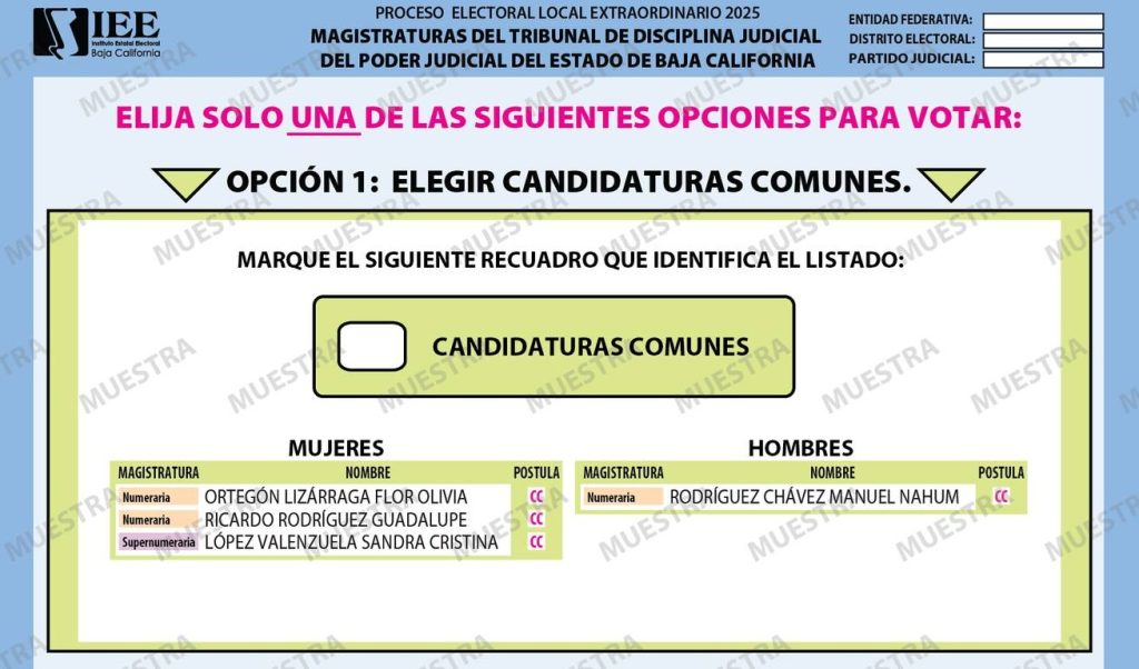 boleta comunes