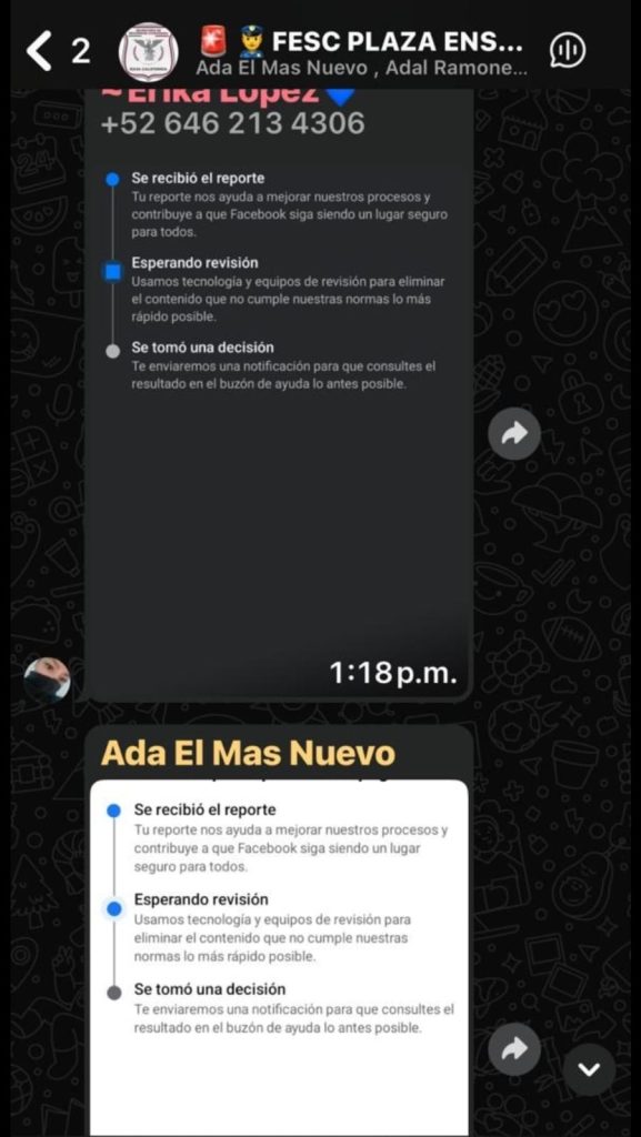 El Radiador: En el 2000 6 WhatsApp Image 2025 08 05 at 8.24.40 PM 2