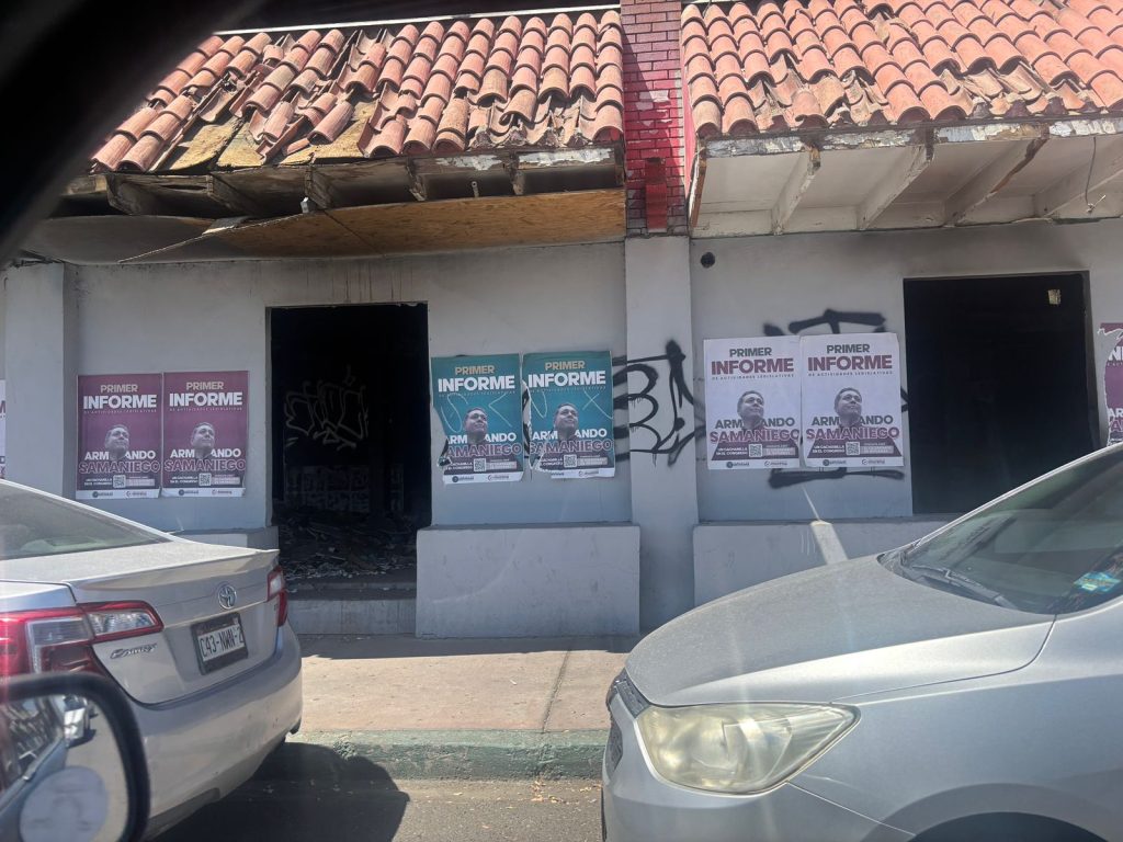 El Radiador: Un tejón con un pasado tormentoso y sin nada que perder, un elefante que no olvida matar y un cangrejo llamado suertudo 13 WhatsApp Image 2025 09 04 at 7.45.24 AM