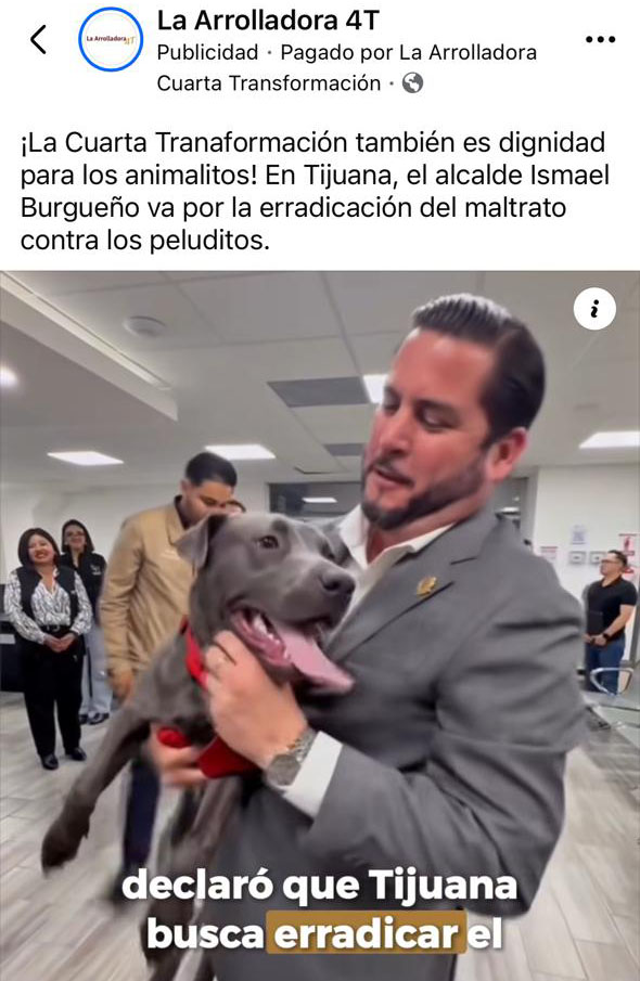 La arrolladora