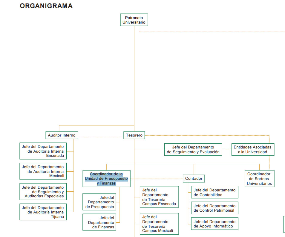 organigrama patronato