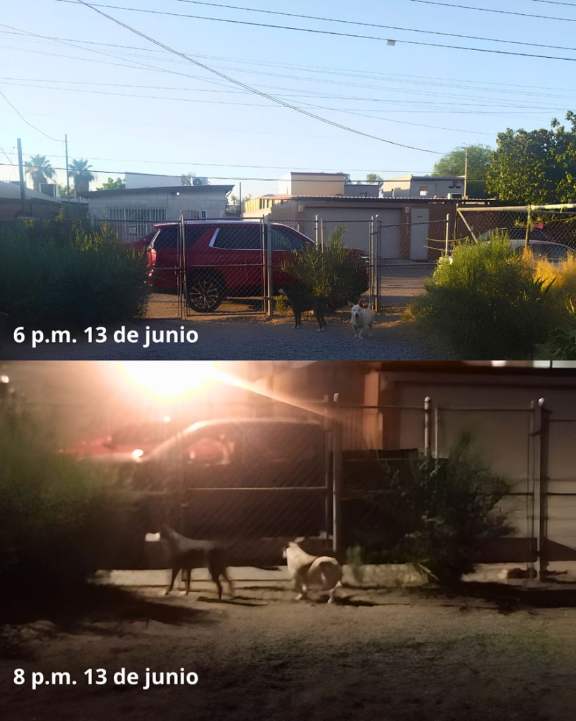 Nidos, botellas y banda en vivo: ecocidio y acoso en Conjunto Urbano Esperanza. 3 zona de anidacion 2
