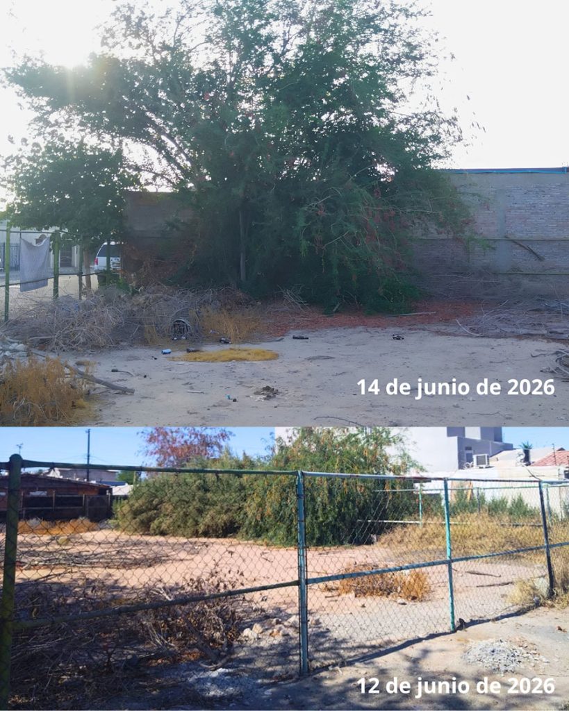 Nidos, botellas y banda en vivo: ecocidio y acoso en Conjunto Urbano Esperanza. 2 zona de anidacion