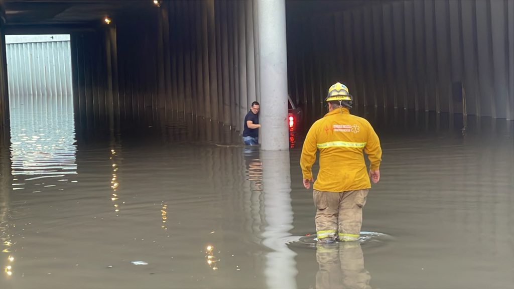 El Radiador: Léase en caso de emergencia 2 WhatsApp Image 2026 10 11 at 9.21.47 AM